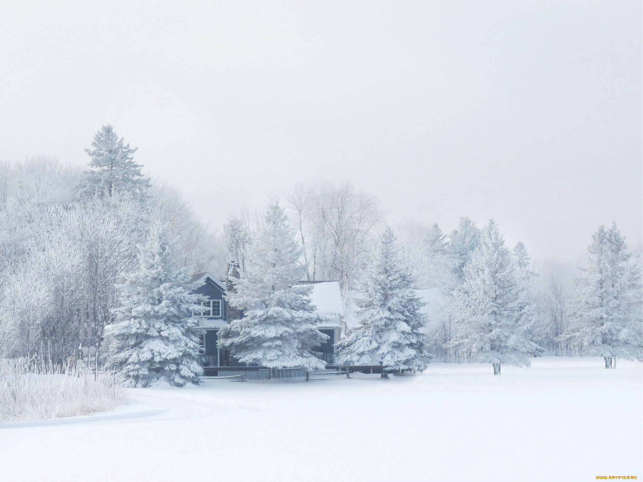 Frosty house. Зимний лес. Зимний пейзаж. Снежный пейзаж. Зима панорама.